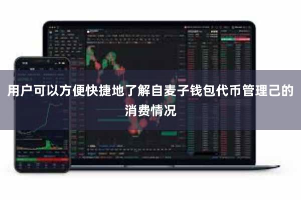用户可以方便快捷地了解自麦子钱包代币管理己的消费情况