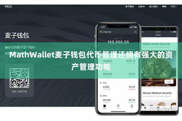 MathWallet麦子钱包代币管理还拥有强大的资产管理功能