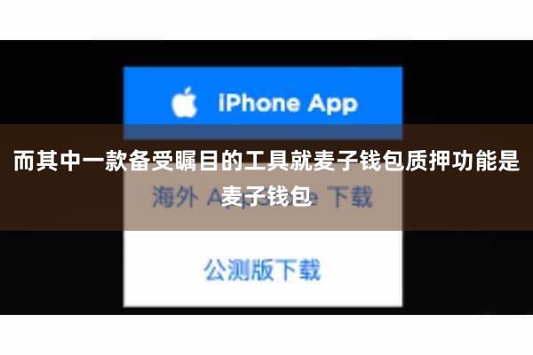 而其中一款备受瞩目的工具就麦子钱包质押功能是麦子钱包