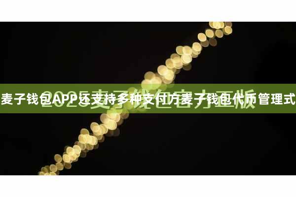 麦子钱包APP还支持多种支付方麦子钱包代币管理式