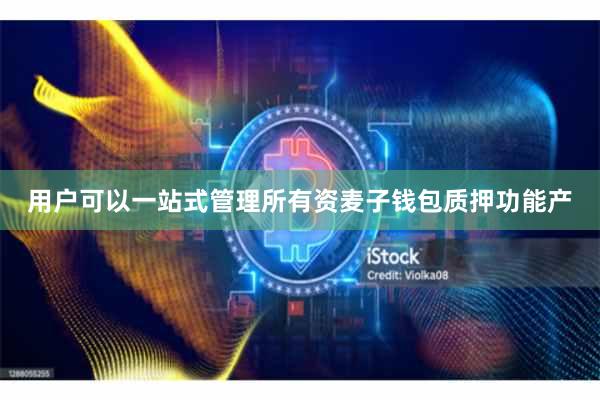 用户可以一站式管理所有资麦子钱包质押功能产