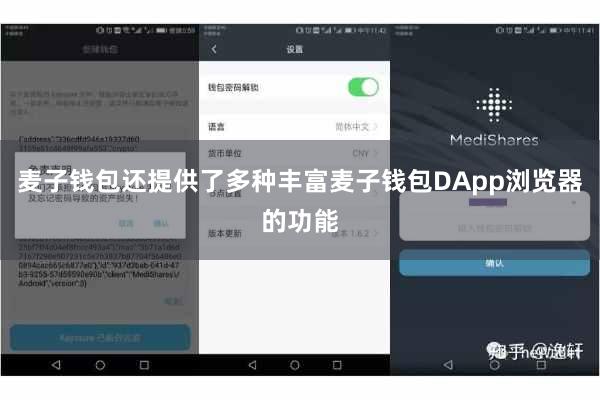 麦子钱包还提供了多种丰富麦子钱包DApp浏览器的功能