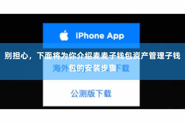 别担心，下面将为你介绍麦麦子钱包资产管理子钱包的安装步骤