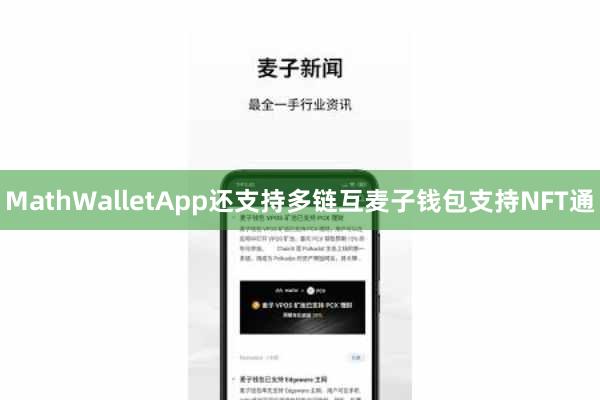 MathWalletApp还支持多链互麦子钱包支持NFT通
