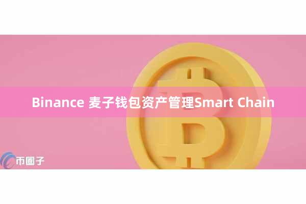 Binance 麦子钱包资产管理Smart Chain