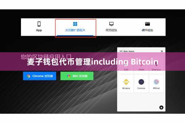 麦子钱包代币管理including Bitcoin