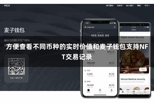 方便查看不同币种的实时价值和麦子钱包支持NFT交易记录