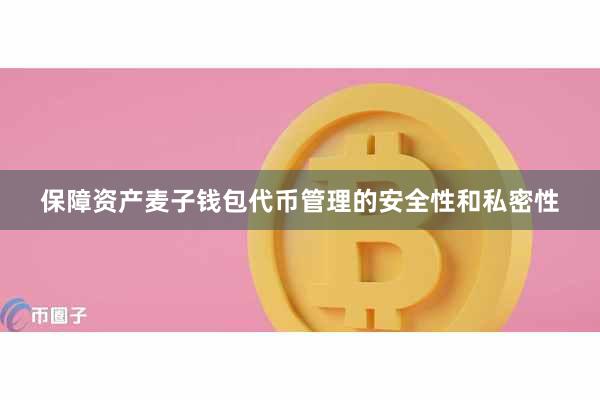 保障资产麦子钱包代币管理的安全性和私密性