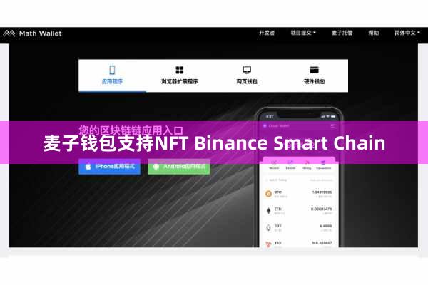 麦子钱包支持NFT Binance Smart Chain