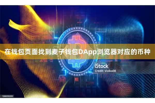 在钱包页面找到麦子钱包DApp浏览器对应的币种