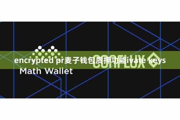 encrypted pr麦子钱包质押功能ivate keys