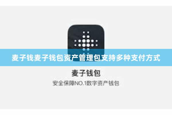 麦子钱麦子钱包资产管理包支持多种支付方式