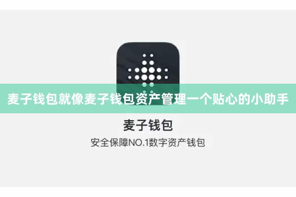 麦子钱包就像麦子钱包资产管理一个贴心的小助手