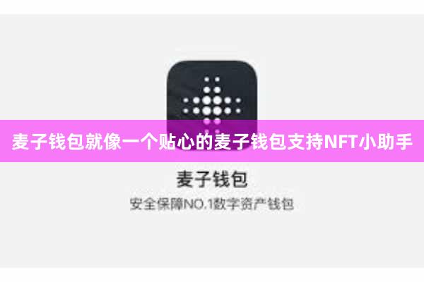 麦子钱包就像一个贴心的麦子钱包支持NFT小助手