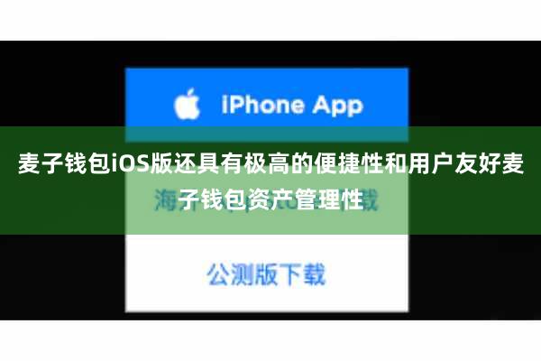 麦子钱包iOS版还具有极高的便捷性和用户友好麦子钱包资产管理性