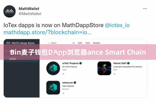Bin麦子钱包DApp浏览器ance Smart Chain