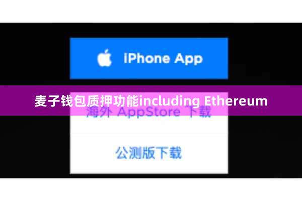 麦子钱包质押功能including Ethereum
