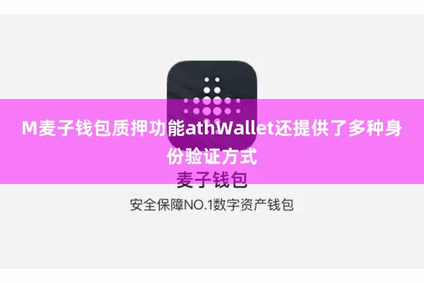 M麦子钱包质押功能athWallet还提供了多种身份验证方式