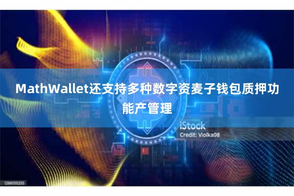 MathWallet还支持多种数字资麦子钱包质押功能产管理